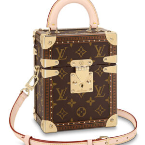 Louis Vuitton Camera Box M10079 Brown