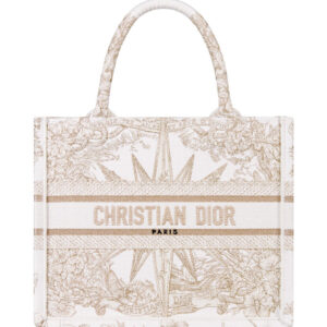 Christian Dior Small Dior Book Tote