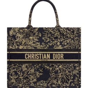 Christian Dior Large Dior Book Tote