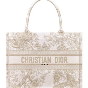 Christian Dior Medium Dior Book Tote