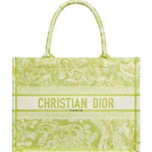 Christian Dior Small Dior Book Tote Green