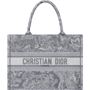 Christian Dior Small Dior Book Tote Gray