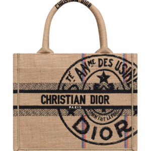 Christian Dior Small Book Tote Apricot