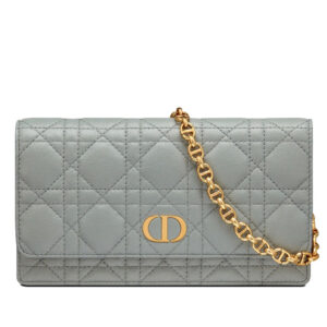 Christian Dior Caro Belt Pouch With Chain Gray