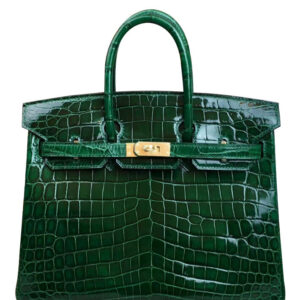 Hermes Birkin 25 Crocodile leather Green