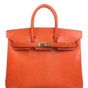 Hermes Birkin 25 Lizard leather Orange