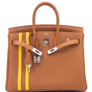 Hermes Birkin 25 Officier Togo Handbag Coffee