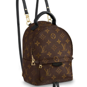 Louis Vuitton Monogram Palm Springs Backpack Mini Bag M41562 Brown