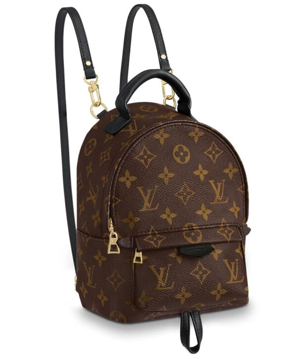 Louis Vuitton Monogram Palm Springs Backpack Mini Bag M41562 Brown