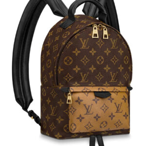 Louis Vuitton Palm Springs Pm M44870 Brown