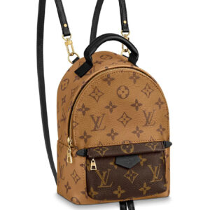 Louis Vuitton Palm Springs Mini M44872 Apricot