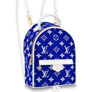 Louis Vuitton Palm Springs Mini M46207 Blue