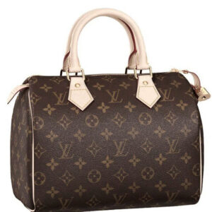 Louis Vuitton Speedy M41528 Brown