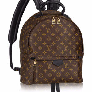 Louis vuitton Palm Springs Backpack PM M41560 Black