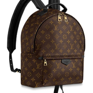 Louis vuitton Palm Springs Backpack MM M41561 Black