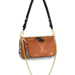 Louis Vuitton Multi Pochette Accessoires