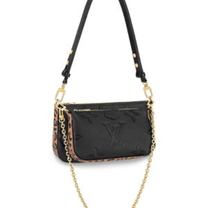 Louis Vuitton Multi Pochette Accessoires